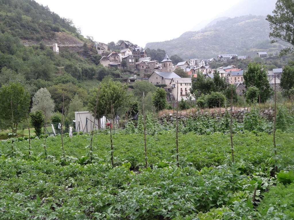 فندق Hostal Casa Laplaza سان خوان دي بلان المظهر الخارجي الصورة
